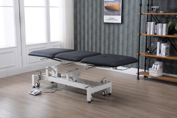 Electric Treatment Table,HomelyD Hi-Lo Adjustable，3-Section Physical Therapy Table, Ultra Comfortable Foot Control for Massage and Acupuncture (Blue)